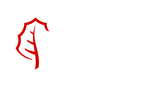 Obra nueva 6